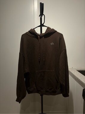 ALO Yoga Men's Dark Brown Pullover Hoodie